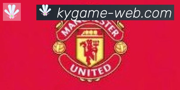 开云合作伙伴